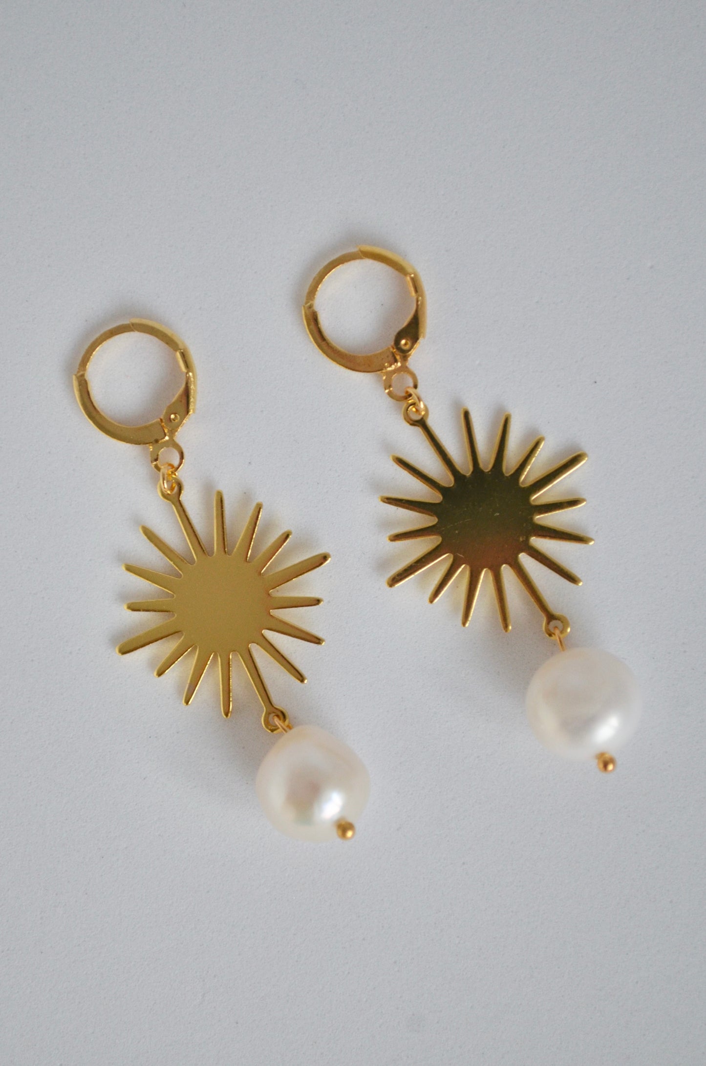 Bellis Long